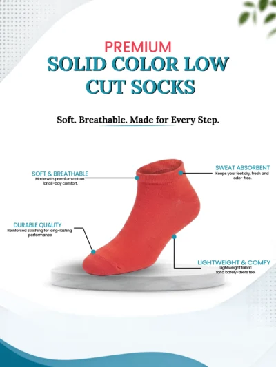 Women Low Cut Ankle Socks (Pack of 23)